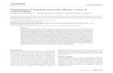 Pathogenesis of idiopathic pulmonary fibrosis: review of ... · Pathogenesis of idiopathic pulmonary fibrosis: review of recent findings Elisabetta Renzoni1*, Veeraraghavan Srihari2