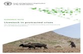 Livestock in protracted crisessystems and climate-smart livestock management practices. • Valorization of marginalized lands: Many protracted crises are situated in the African drylands,