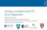 Genetic correlation and LD Score Regression · 2019. 3. 12. · Mary Haas Joel Hirschhorn Raymond Walters Heritability analysis •Follows health and well-being of 500,000 participants