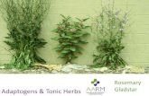 Plants adapt constantly to the stresses of their environment ~ and … · 2018. 9. 13. · Rosemary Gladstar. Plants adapt constantly to the stresses of their environment ~ and then