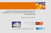 The BioProcess Systems Engineering group (BioPSEg ...repositorium.sdum.uminho.pt/bitstream/1822/59544/1/...Systems Biology, Computational Biology, Bioinformatics, and Metabolic Engineering