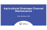 Agricultural Drainage Channel Maintenance...ADCM Program Allows temporary storage of spoils along channel Adjacent hydric soils and wetlands too Avoid placement in natural/undisturbed