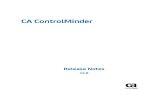 CA ControlMinder - Broadcom ControlMinder 12... · 2014. 11. 18. · CA Technologies Product References This document references the following CA Technologies products: CA ControlMinder