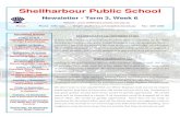 Shellharbour Public School · Many art styles were covered including detailed pencil sketches, texta outlines, paintings, digital art and even abstract art influenced by the likes