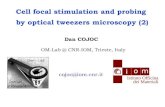 Cell focal stimulation and probing by optical tweezers microscopy …indico.ictp.it/event/a12217/session/19/contribution/13/... · 2014. 5. 5. · OUTLINE (continued from first lecture)