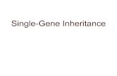 Single-Gene Inheritance...2021/02/04  · Mendelian inheritance to calculate the probabilities that offspring of specified mating types will be affected and unaffected. Concept 14.3: