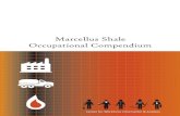 Marcellus Shale Occupational Compendium · 2016. 4. 11. · The Marcellus Shale is a layer of marine sedimentary rock containing largely untapped natural gas reserves. The Marcellus
