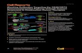 Blocking Antibodies Targeting the CD39/CD73 Immunosuppressive Pathway Unleash Immune ... · 2019. 9. 18. · Cell Reports Article Blocking Antibodies Targeting the CD39/CD73 Immunosuppressive