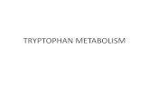 TRYPTOPHAN METABOLISM Lecture 5... · 2020. 1. 27. · Tryptophan metabolism Tryptophan ron deficiency leads to block this reaction Vit Liver enzyme Tryptophan dioxygenase Other tissue