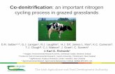 Co-denitrification: an important nitrogen cycling process in grazed … - K. Richards.pdf · 2016. 3. 23. · Selbie et al. (2015) Nature Scientific Reports 5:17361 1-5 . RESULTS