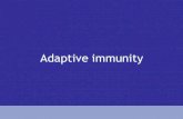 Principles of innate and adaptive immunity · 2019. 3. 15. · Adaptive immunity Adaptive immunity acquired by two ways: a- passive : Transmitted by antibody or T-cell pre-formed
