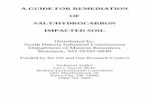 A GUIDE FOR REMEDIATION 20060502 HalfSize · 2006. 5. 5. · basic soil science used to develop the field guide is included as appendices E (Soil Properties) and F (Soil Chemistry).