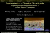 Synchronisation of Biological Clock Signalshinze/slides-biosignals...Synchronisation of Biological Clock Signals T. Hinze, M. Schumann, S. Schuster Motivation Deﬁnitions Repressilator