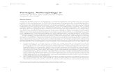 Portugal, Anthropology in...Trim Size: 170mm x 244mm Callan wbiea1974.tex V1 - 09/16/2017 11:49 A.M. Page 1 Portugal, Anthropology in CRISTIANA BASTOS AND JOSÉ MANUEL SOBRAL University