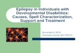 Epilepsy in Individuals with Developmental Disabilities: Causes, … · 2018. 11. 26. · Clinical Definition of Epilepsy 1. > 2 unprovoked (or reflex) seizures > 24h apart. 2. One