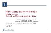 Next Generation Wireless Networks · 2010. 11. 5. · 3G, HSDPA, EVDO, Wi-Fi ... Optim. Content Adaptation Next Gen WAP Content Filtering Media Optimization ISN Ad Insertion. 28 Next