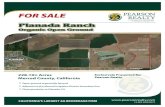 Organic Open Ground - Pearson Realty · Planada Ranch Organic Open Ground 228.10± Acres Merced County, California • Open ground organically farmed • Adjacent to the Merced Irrigation