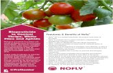 Biopesticide - Prochemica · 2020. 5. 5. · Biopesticide to Control Thrips, White Flies and Aphids Feautures & Benefits of Nofly® Biological insecticide formulated with spores of