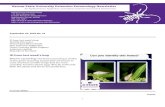 Kansas State University Extension Entomology Newsletter...Jeff Whitworth HOME Sugarcane Aphids Sugarcane aphids (fig. 4) are still migrating into sorghum fields throughout Kansas.