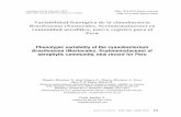Phenotypic variability of the cyanobacterium Brasilonema … · 2019. 9. 1. · clorofita Oedogonium sp. Discusión y conclusiones Las especies cianobacteriales que son difíciles