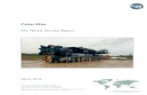 Coire Glas - SSE Renewables · CAT 777F Dump Truck 10.5m 6.5m 5.2m 74 tonnes CAT 992K Loader 15.8m 5.5m 5.7m 97.5 tonnes CAT D10 Dozer 7.6m 3.2m 4.1m 77.9 tonnes Liebherr LG 1750