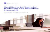 Certificate in Financial Modelling and Valuation E- Learninggtw3.grantthornton.in/assets/website/lnd/Financial... · 2020. 12. 14. · A programme for working professionals and students