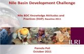 Nile Basin Development Challenge - GOV.UK...Pamela Pali October 2011 Outline • Introduction • KAP survey • Methodology • Results • Conclusions Introduction • KAP responds