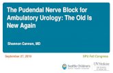 The Pudendal Nerve Block for Ambulatory Urology: The Old ...€¦ · The Pudendal Nerve Block for Ambulatory Urology: The Old Is New Again September 27, 2019 SPU Fall Congress. Background