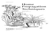 Home Propagation Techniques...from seed propagation. Commercial seed companies go to great effort to develop plant cultivars uniform in flower color. When hybridizing, they go to even