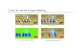 CNNs for dense image labeling - University of Illinois at ...L. Chen, G. Papandreou, I. Kokkinos, K. Murphy, A. Yuille, DeepLab: Semantic Image Segmentation with Deep Convolutional
