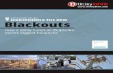 2014 CASE STUDY MODERNIZING THE GRID Blackouts391a9bb8-… · 2014 CASE STUDY MODERNIZING THE GRID PAGE 3 The problem: Grid reliability “On average, we have experienced two to three