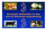 Genomic Selection in the era of Genome sequencingsnp.toulouse.inra.fr/~alegarra/ben_hayes_course/slides/...1. Linkage mapping detects a QTL on bovine chromosome 14 with large effect