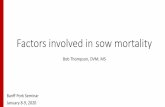 Factors involved in sow mortality - Banff Pork Seminar · 2020. 1. 29. · • The Sow Farm Survey and Sow Prolapse Submission Form are used to examine areas of management that could
