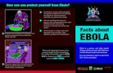 Ebola USAID leaflet - UNICEF Ebola leaflet 2018.pdfHow can you protect yourself from Ebola? How is Ebola spread? HEALTH UNIT What are the signs and symptoms of Ebola? Persons who are