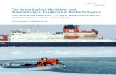 The Ocean Surface Microlayer and Biogeochemical Feedbacks in … · 2015. 6. 30. · The Ocean Surface Microlayer and Biogeochemical Feedbacks in the Earth System ... manuela@tropos.de.