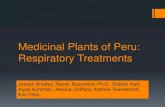 Medicinal Plants of Peru: Respiratory Treatments · 2014. 9. 16. · Materials and Methods: Markets and Plants Herbal medicine data of market vendors were collected by Rainer Bussmann
