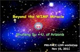 Beyond the WIMP Miracle - Physics & Astronomyzentner/Shufang_Su_files/su... · 2015. 4. 14. · cle’s mass. The WIMP miracle is the statement that, for (m X, g X) ∼ (m weak, g