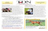 Visit the International Medication TDN Website: Summit ...Frankie Dettori on Sajjhaa (GB) (King=s Best)--made ground wide of her stable companion Timepiece (GB) (Zamindar) as the ...