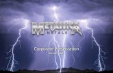 January 2021 · 2021. 1. 21. · Metallica Metals undertakes no obligation to update forward looking statements if circumstances or management’s estimates or opinions should change