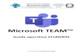 Teams - Manuale studenti · 2020. 3. 12. · Microsoft Teams™ - Guida operativa STUDENTE 5 5. Caratteristiche dei TEAMS Gli studenti saranno inseriti in un numero di teams pari
