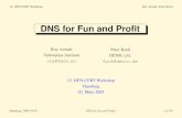 DNS for Fun and Proﬁt - DFN-CERT · 2009. 8. 5. · 12. DFN-CERT Workshop Roy Arends, Peter Koch • VGRS-ATLAS • BIND4,8,9 • eNom-DNS • MARADNS • MyDNS • Nominum ANS,CNS