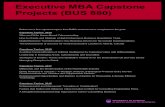 Executive MBA Capstone Projects (BUS 880) · 2021. 1. 7. · Executive MBA Capstone Projects (BUS 880) Title: Microsoft Word - EMBA Capstones.docx Created Date: 8/8/2019 3:09:23 PM