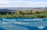 ROUTES TO RESILIENCE - indiaenvironmentportal...ROUTES TO RESILIENCE: INSIGHTS FROM BRACED TO BRACED-X Foreword 6 We addressed five questions in particular: 1. What adaptive capacity