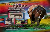 2009 BAY STALLION Fudge! 2018... · 2020. 2. 24. · SHOW HORSE TODAY 2009 BAY STALLION – 15.2 1/2 5214139 ¡FIESTA FUDGE! Stallion Owner Myers Horse Farms, Inc | Ann Myers | Ashland,
