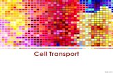 Cell Transport - WordPress.com · 2017. 10. 19. · Passive Transport •Diffusion: the process by which solute particles move from an area of high concentration to an area of lower