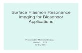 Surface Plasmon Resonance Imaging for Biosensor Applications€¦ · SPR • A surface-plasmon-resonance is excited at a metal-dielectric interface by a monochromatic, p-polarized