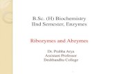 B.Sc. (H) Biochemistry IInd Semester, Enzymes Ribozymes and … · 2020. 4. 24. · RNA Enzymes Are the Catalysts of Some Events in RNA Metabolism The study of posttranscriptional