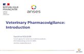 Veterinary Pharmacovigilance: Introduction · 2021. 3. 4. · Pharmacovigilance - Definition 4 Pharmacovigilance (PV) is defined by the World Health Organization as the science and