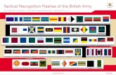 MPGS - Wikimedia · 2019. 6. 18. · Regiment (Queen’s and Royal Hampshires) The Royal Regiment of Fusiliers The Royal Anglian Regiment The Royal Irish Regiment (27th(inniskilling)