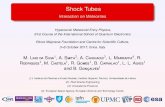 Shock Tubes 0.2cm Interaction on Meteoritesusers.ba.cnr.it/imip/cscpal38/HYMEP/lectures/LinodaSilva.pdf · 2020. 10. 20. · Shock-Tube Design Application to the ESTHER Shock-Tube